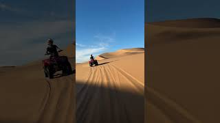 Quad Biking on Sand Dunes  Swakopmund [upl. by Nur]