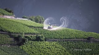 Air Glacier Sulfatage des vignes Valais [upl. by Ettesel]