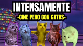 INTENSAMENTE  cine pero con gatos meme de gatos [upl. by Yemar504]