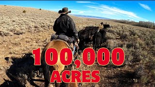 Trying to find out cows in a 100000 acre pasture on our horses [upl. by Ferrigno]