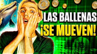 🔴 DIRECTO ¡EL JUEZ DA VEREDICTO CONTRA COINBASE 😦 ¡¡Bitcoin explotando en vivo 📈 [upl. by Ettenoj]