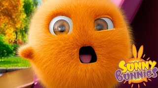 Cartoons for Children  SUNNY BUNNIES FULL SEASON 1  EP 1  26  Funny Cartoons For Children [upl. by Tice]