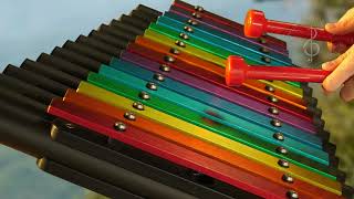 Cavatina Outdoor Xylophone from Percussion Play [upl. by Inafets]