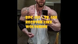 BPC157 and TB500 Review  Tricep surgery recovery [upl. by Joliet]