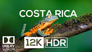 COSTA RICA IN 12K HDR 60fps ULTRA HD [upl. by Alfi925]