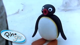 Pingus Big Trip  Pingu Official  Cartoons for Kids [upl. by Sneve]