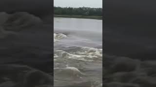 kolleru eluru kaikaluru cyclone floods [upl. by Galan]