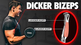 Es gibt keine quot5 BESTEN ÜBUNGEN die du machen musstquot  Bizeps Training  Anatomie für alle 2 [upl. by Airbmak285]