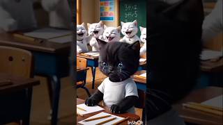 black catracismby white kittenbullymummy cat revenge [upl. by Pagas241]