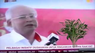 Najib  Kangkung Dulu Naik Sekarang Dah Turun [upl. by Ervine400]