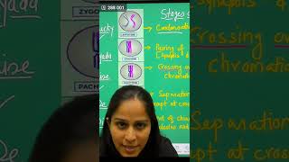 QUICK GUIDE TO ONION ROOT TIP CELL DIVISION STAGES PROPHASE METAPHASE ANAPHASE amp TELOPHASE [upl. by Barb]