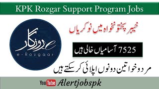 KPK Rozgar Support Program Jobs 2024  E Rozgar  jobs  pakistan government job  latest jobs 2024 [upl. by Attegroeg]