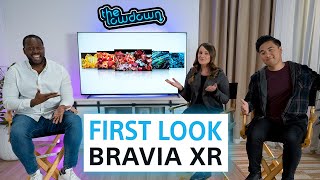 New BRAVIA Lineup First Look on The Lowdown [upl. by Llednek]