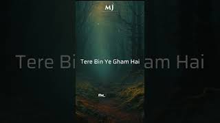 Dil Royi Jaye  Manan Jain  De De Pyar De Originally Sung By Arijit Singh mananjain [upl. by Rambort739]