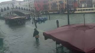 Venise Acqua alta est la période dinondation de Venise pour cause des marées [upl. by Safir]