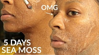 I Used SEA MOSS GEL on My FACE for 5 Days amp WOW [upl. by Nomannic]