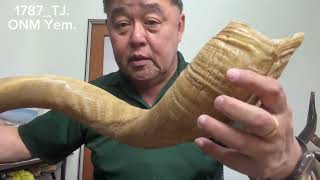 ShofarMaker v1787TJ 6 Tone ONM Yemenite Kudu Shofar Full Natural [upl. by Aicelf]