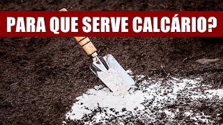 PARA QUE SERVE O CALCÁRIO NAS PLANTAS [upl. by Richie]