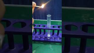 Reaction of Magnesium with Acidexperiment CBSE Class 10scienceviralvideo [upl. by Babita59]