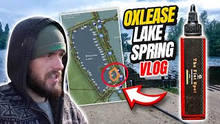 Linear Fisheries Oxlease Lake Spring Carp Fishing Vlog 48Hours Session [upl. by Chassin]