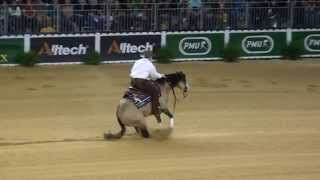 HF Mobster Individual Run at the 2014 World Equestrian Games in Normandy France [upl. by Dorothee790]