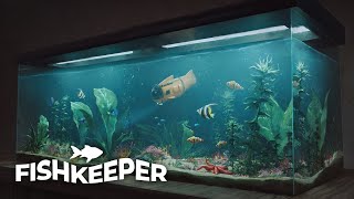 Fishkeeper Gameplay Trailer HD Steam [upl. by Surdna]