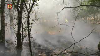 Brand in de Loonse en Drunense Duinen [upl. by Nnaik]