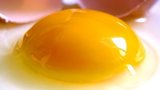 4 Great Ways to Separate Egg Yolk and Egg White [upl. by Marie-Jeanne]