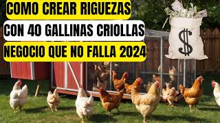 COMO INCIAR UNA GRANJA DE 40 GALLINAS CRIOLLAS CON POCO DINERO PASO A PASO CON POCO DINERO [upl. by Anipsed]