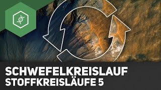 Schwefelkreislauf – Stoffkreisläufe 5 [upl. by Simeon678]