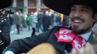 Mariachi Dos Aguilas  Live in Frankfurt Germany [upl. by Ydissahc]