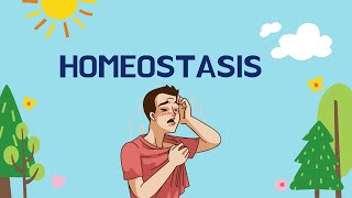 What is Homeostasis in Biology [upl. by Adianez]