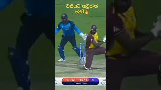 වනියට කවුරුවත්ම අදාළ නෑ🔥🔥 cricket trending viralshort [upl. by Castera895]