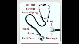 stethoscope use stethoscop part name stethoscope medicaleducation [upl. by Hasin]