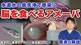 日本でも報告 エボラ出血熱よりも致死率が高い「脳を食べるアメーバ」・旅行の際には淡水に注意【医者が解説】 [upl. by Enayd]