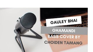 Ghamandi  Gauley Bhai  Bass cover Headphone necessary [upl. by Anits]