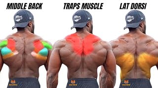 TOP 5 LAT MIDDLE BACK AND TRAPS WORKOUT WITH DUMBBELLS ONLY AT HOME OR GYM [upl. by Ettennej70]