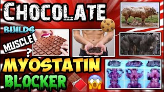 CHOCOLATE IS ANABOLIC  BLOCK MYOSTATIN amp INCREASE FOLLISTATIN W EPICATECHIN 🧬🐂MYOSTATIN MONDAY🧬🐂 [upl. by Petes114]