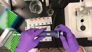 Enzyme Activity Assay for Polyphenol Oxidase PPO [upl. by Avraham]