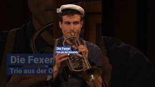 Mit Trompete Tuba und Flügelhorn bei den Wirtshausmusikanten  BR Heimat  shorts [upl. by Enilesoj790]