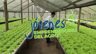 Jóvenes Emprendedores del Agro  Danilo Mondaca [upl. by Reba110]