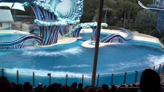 Blue Horizon Show at SeaWorld Orlando [upl. by Lorilee]