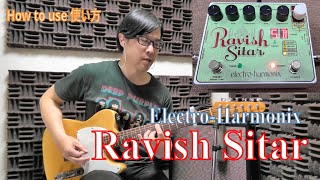 Ravish Sitar  Electro Harmonix  how to 使い方 [upl. by Yeniar876]