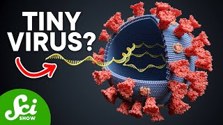 The Smallest Pathogen on Earth Viroids Explained [upl. by Gypsie740]