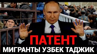 ДИККАТ❗️МИГРАНТ УЗБЕК ТАДЖИКГА НЕГА ПАТЕНТ БЕРИЛМАЯПДИ ПИТЕР МОСКВА❗️ [upl. by Nicholl166]