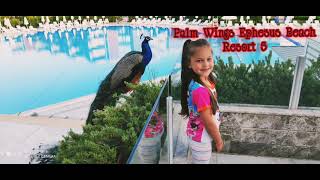 Palm Wings Ephesus Beach Resort 5 ОБЗОР ОТЕЛЯ [upl. by Eceinahs]