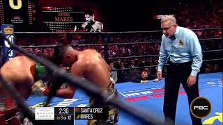 Leo Santa Cruz Vs Abner Mares I Highlights Vacant SUPER WBA WBC Diamond Titles [upl. by Hovey]