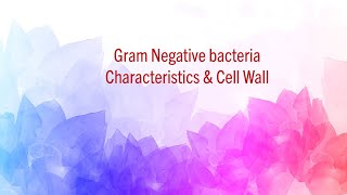 Gram Negative Bacteria  Characteristics amp Cell Wall [upl. by Carlynn]