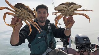 Catching MONSTROUS Dungeness Crabs at Sea [upl. by Nylirad]