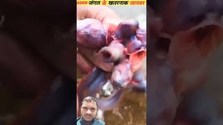 Alian fish amazingfacts animals factsinhindi snake [upl. by Adila]